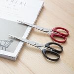 Deli Standard Scissors 180Mm Card
