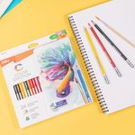 Color Emotion Water Col Pencil Pk24