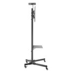 Newstar Flat Screen Floor Stand 155-170C