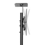 Newstar Flat Screen Floor Stand 155-170C