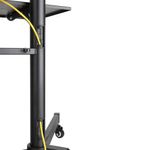 Newstar Flat Screen Floor Stand 155-170C