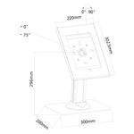 Newstar Tablet Desk Stand I-Pad