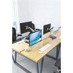 Neomounts Flat Screen Desk Mount 1 Clm/G