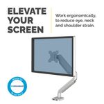 Fellowes Platinum Single Mon Arm Sil