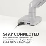 Fellowes Platinum Single Mon Arm Sil