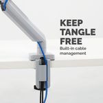 Fellowes Platinum Single Mon Arm Sil