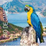 Post-It S/S Notes 76X127 Rio P6