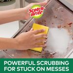 Scotch-Brite Classic Sponge Pk20