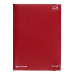 Concept A4 2026 Page A Day Appointments