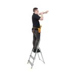 3 Tread Stepladder + High Handrail
