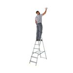 6 Tread Stepladder + High Handrail