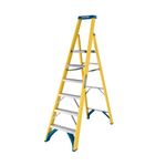 6 Tread Fibreglass Platform Ladder