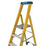 6 Tread Fibreglass Platform Ladder