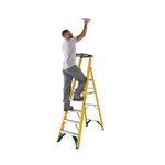 6 Tread Fibreglass Platform Ladder