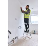 2 Tread Stepladder + High Handrail