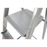 2 Tread Stepladder + High Handrail