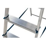 2 Tread Stepladder + High Handrail