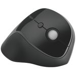 Kensington Pro Fit Ergo Wls Mouse
