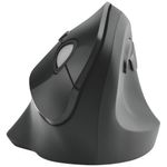 Kensington Pro Fit Ergo Wls Mouse