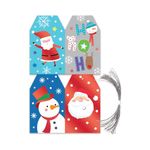 Santa/Friend Coordinate Tag X20 Pk25