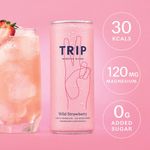 Trip Drink Wild Strawb 250Ml Pk12