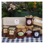 Business Starter Guide/Kit Food