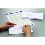 Avery Laser Mini Address Labels 65Tv