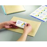 Avery Lsr Add Lbls Wht 8L/Sht Bx 250