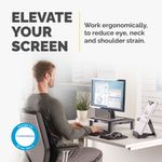 Fellowes Std Monitor Stand Graphite