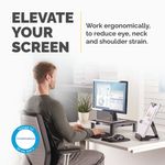 Fellowes Std Monitor Stand Graphite
