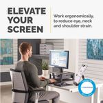 Fellowes Prem Mon Stand+ Graphite