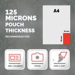 Capture Lamg Pouch 54X86Mm Pk100