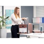 Premium Tall Stor Box Wgrain Pk5