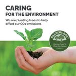 Smoothmove Removal Box 85L Pk5