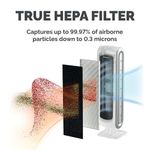 Fellowes Dx5 Small True Hepa Filter