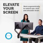 Fellowes Platinum Dual Mon Arm Black