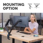 Fellowes Platinum Dual Mon Arm Black