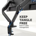 Fellowes Platinum Dual Mon Arm Black