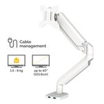 Fellowes Platinum Single Mon Arm Wht