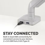 Fellowes Platinum Single Mon Arm Slv