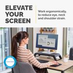 Fellowes Hana Monitor Stand Black