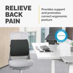 Fellowes Comfort Back Cushion Black