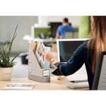 Bankers Box Mag File Grey/Wht Pk10