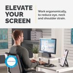 Fellowes Std Monitor Stand Platinum