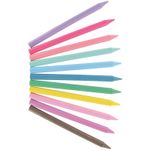 Bic Plastidecor Crayons Ast Pk24