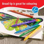 Berol Colour Broad Pen Asst Wb Pk12
