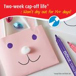 Berol Colour Broad Pen Ast Wb Pk42