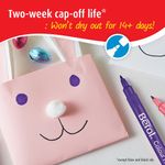 Berol Colour Fine Pen Tub Ast Pk42