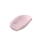 Cherry Gentix Bt Mse Cherry Blossom