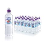 Radnor Splash Wtr F/Fruit 500Ml Pk24